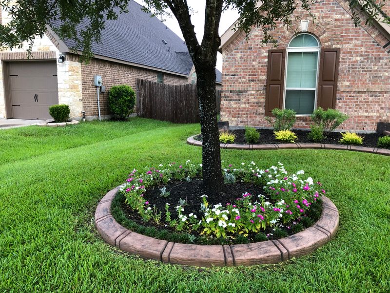 Landscape Border Systems