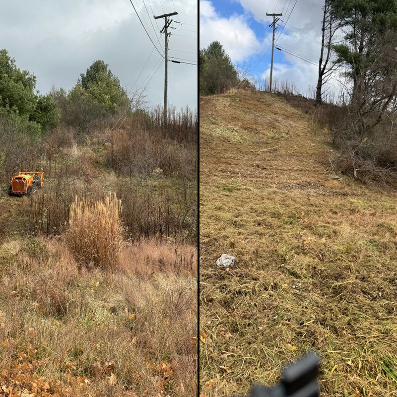 Before and Afters