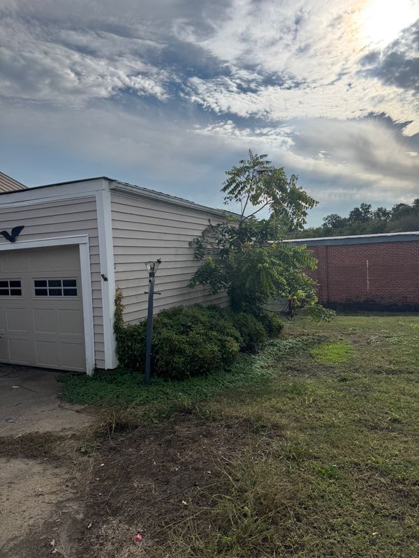 Yard Cleanup gallery