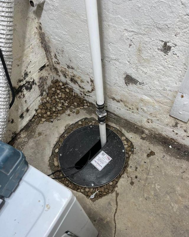 Subterranean Strength: Dutton Plumbing's Sump Pump Success at 1355 Swan Drive