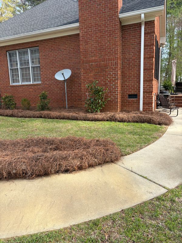 Landscape Design