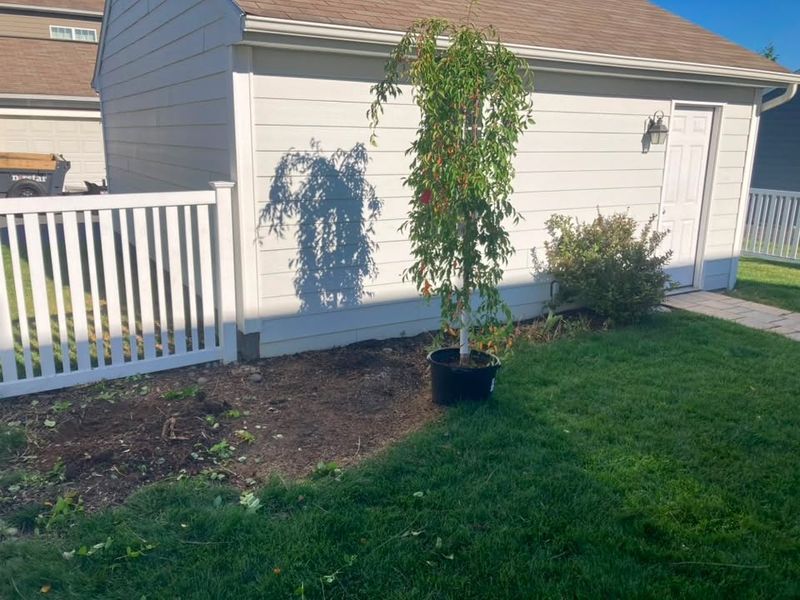Landscape Design