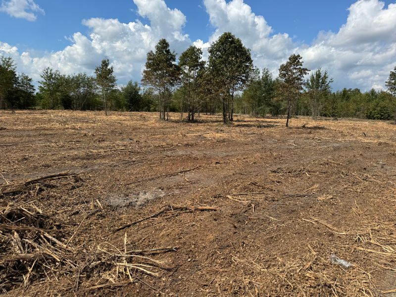 Forestry Mulching