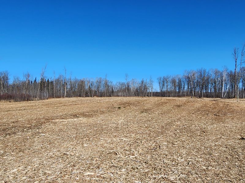 Forestry Mulching & Brush Mowing