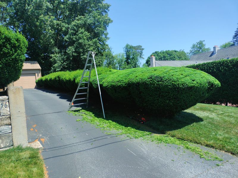 Landscaping gallery