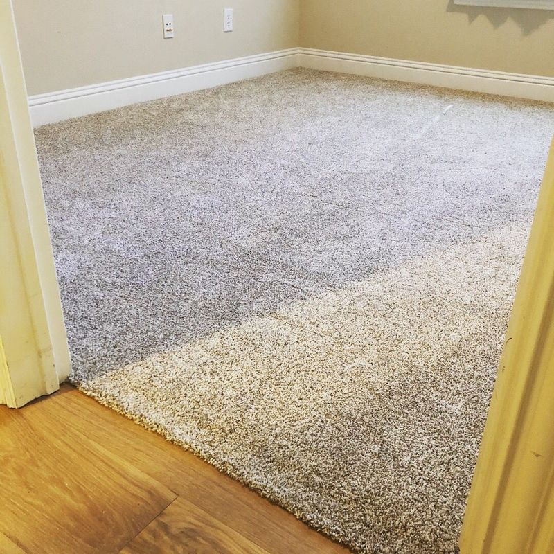 Carpet Cleaning