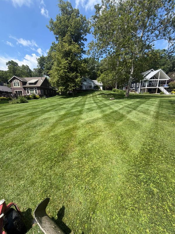 Lawn Mowing