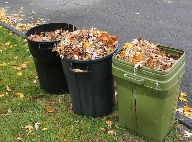 Seasonal Cleanup