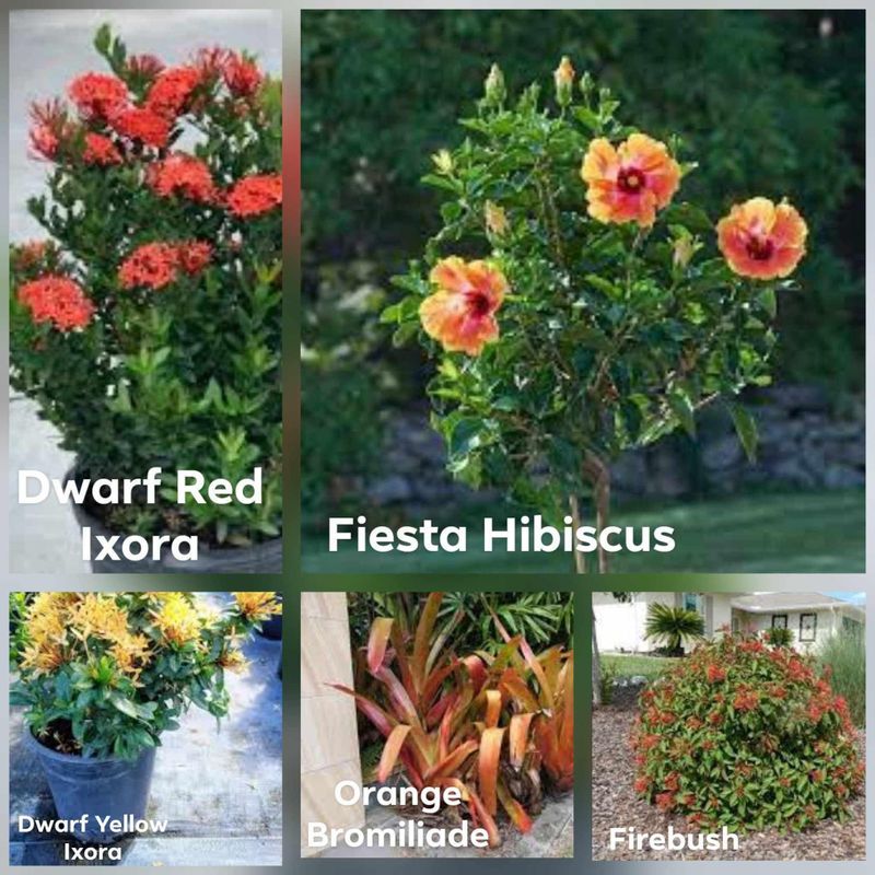 Plant and tree list