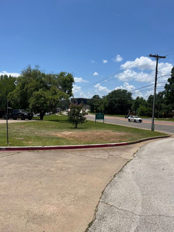 Tree Removal gallery
