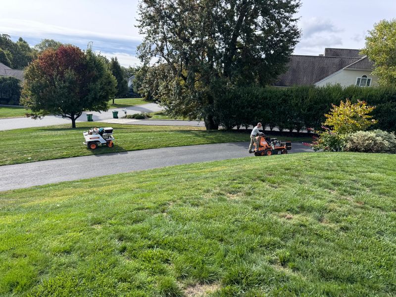 Aerating and overseeding