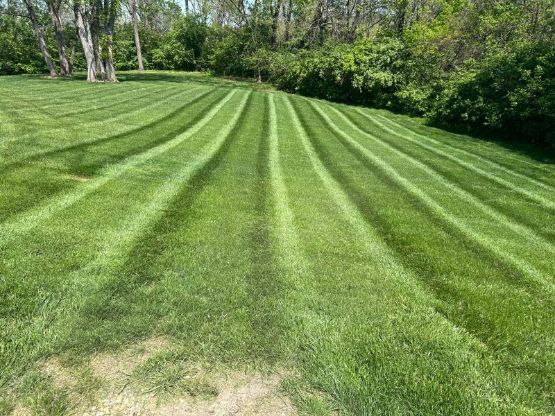 Lawn Care & Maintenance
