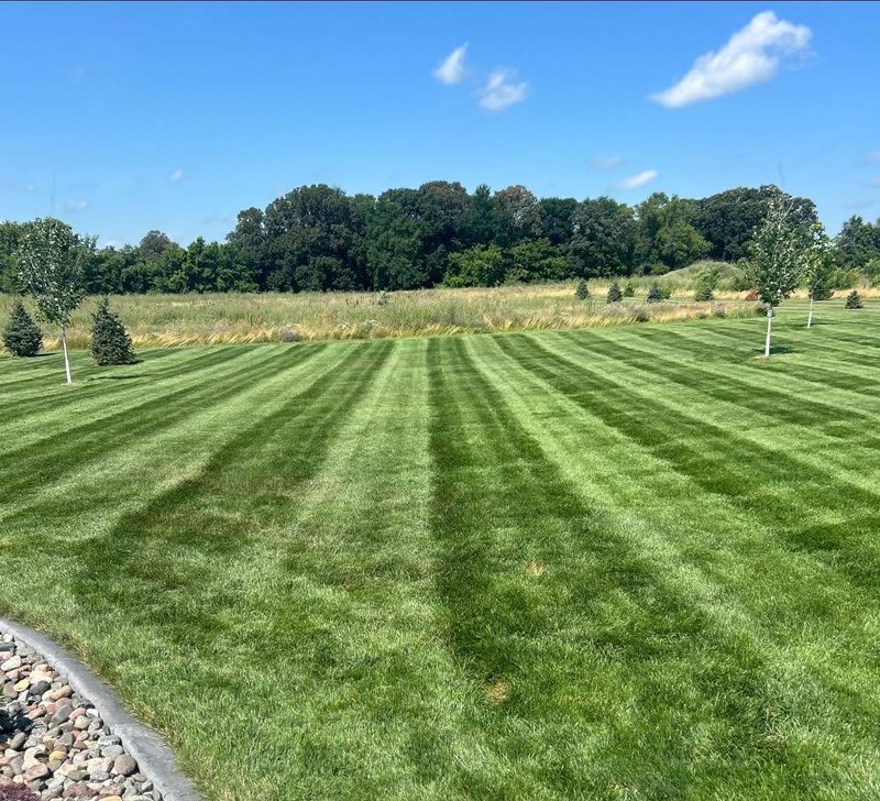 Lawn Maintenance