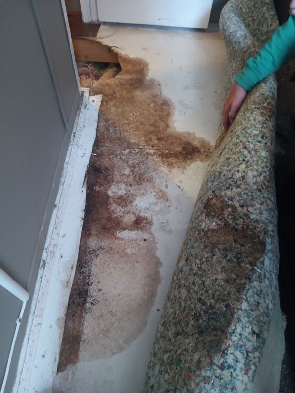 Bathroom Repair
