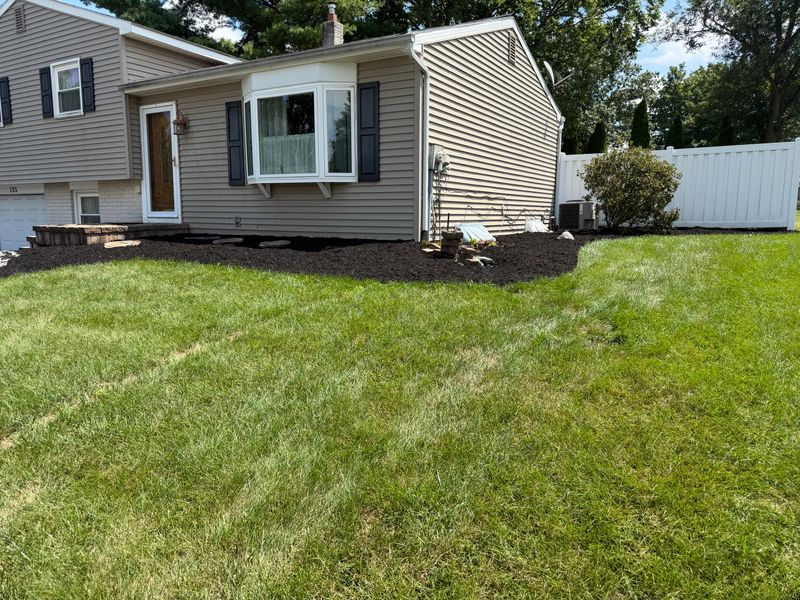 Landscape Design and Installation