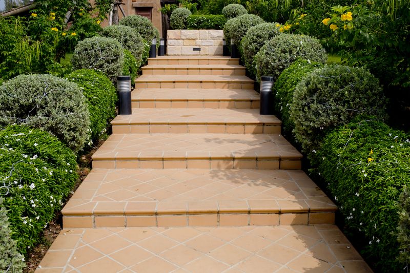 Hedge Trimming