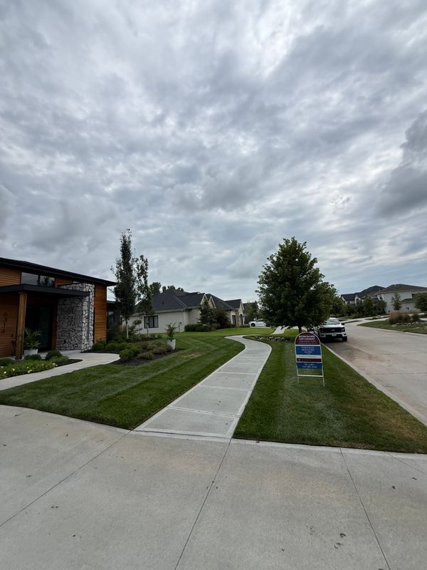 Lawn Maintenance