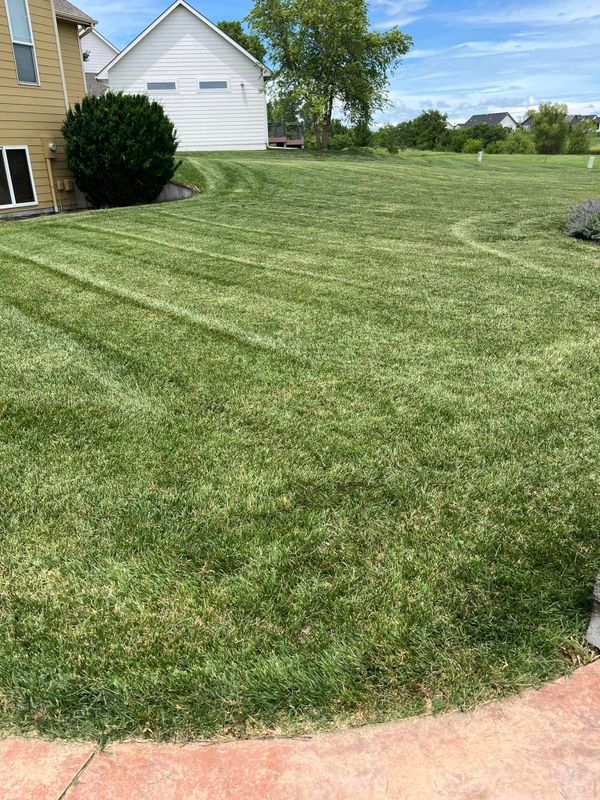 Lawn Maintenance