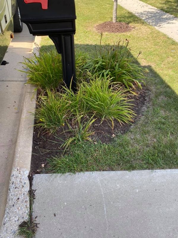 Weed Control