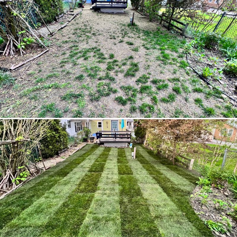Landscaping