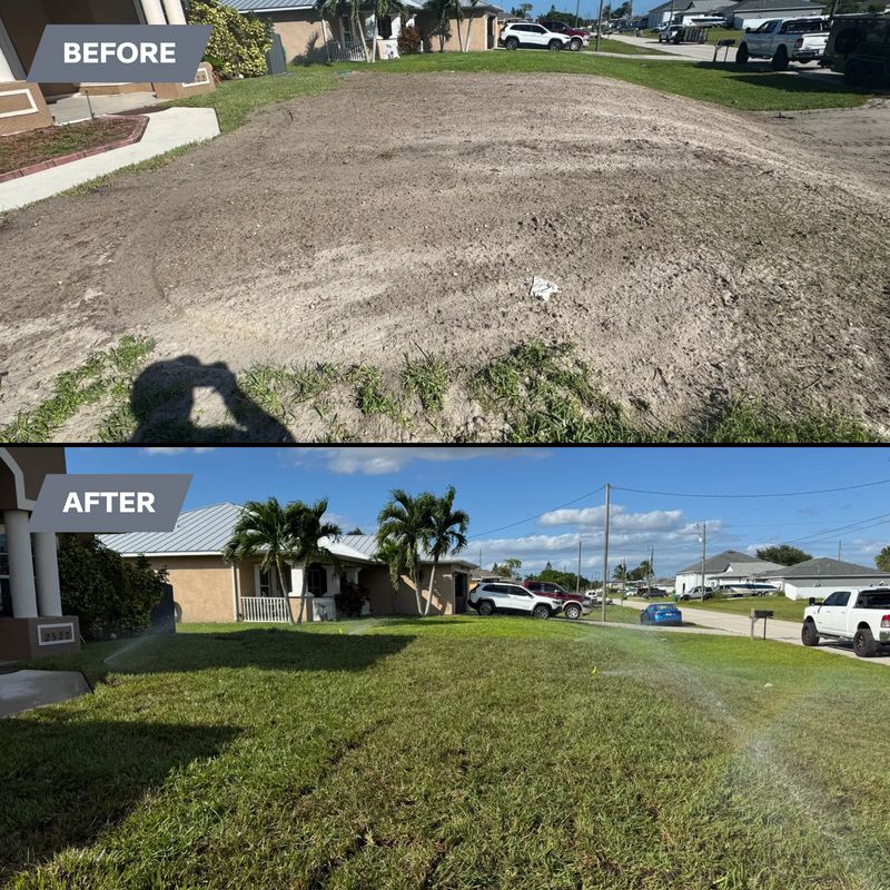 Sod installation