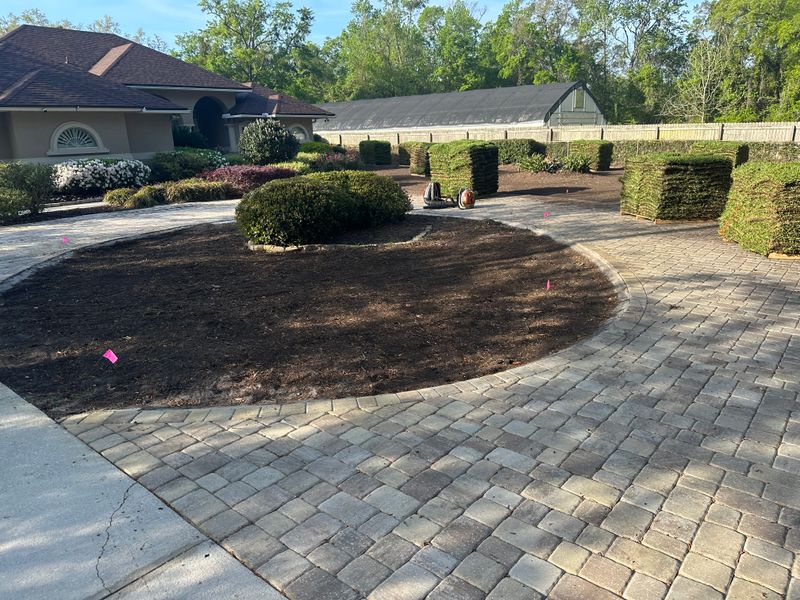 Shrub Trimming