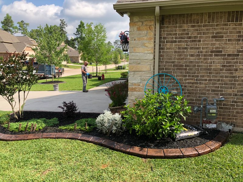 Landscape Border Systems