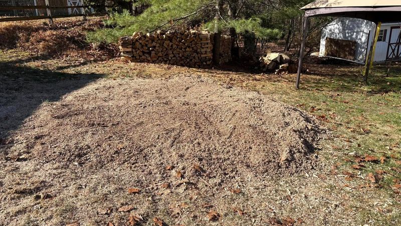Stump Grinding