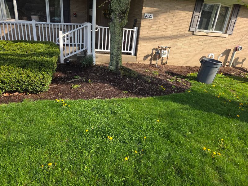 Landscaping