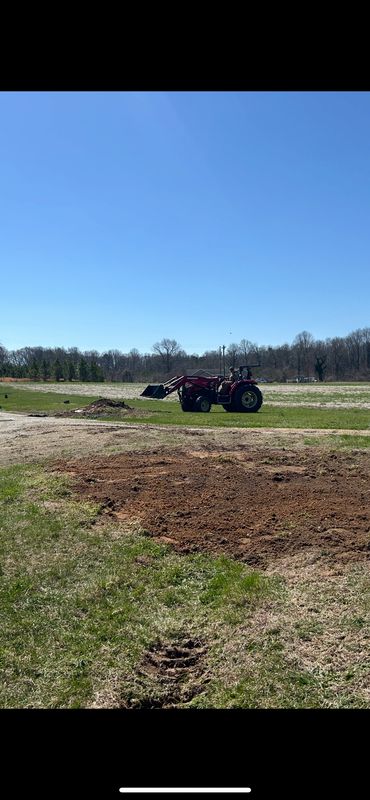 Spring & Fall Cleanup