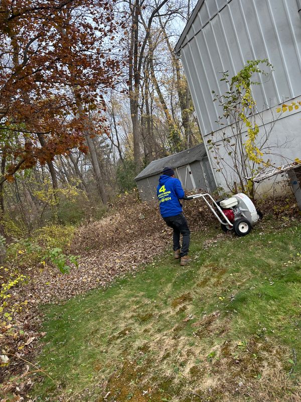 Leaf Removal