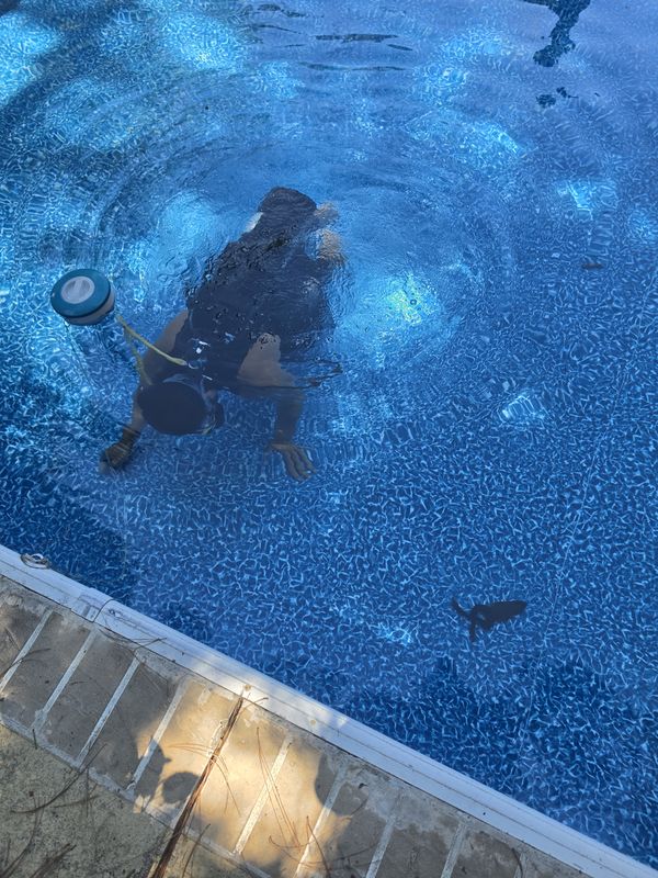 Pool Repair and Maintenance