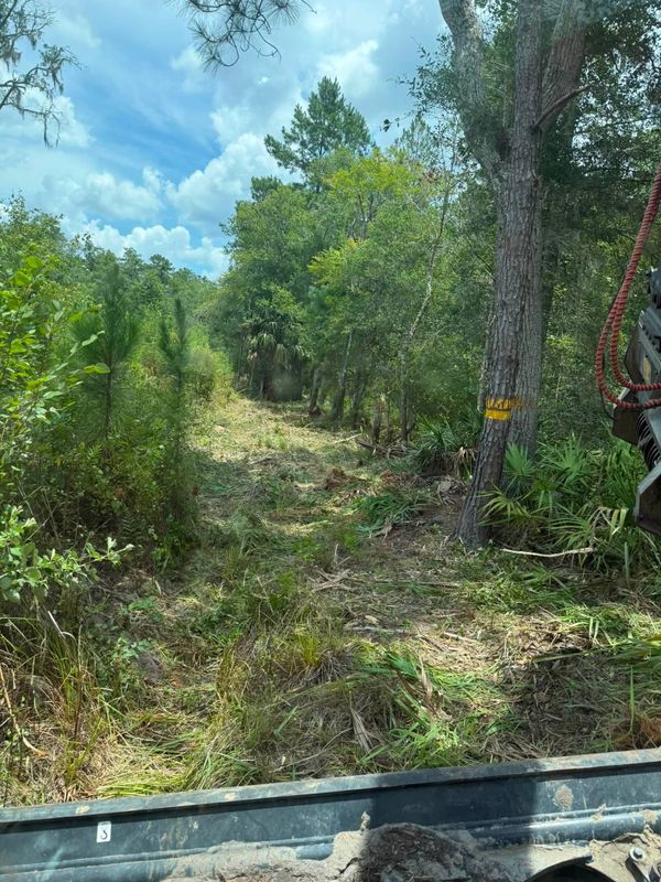 Land Clearing