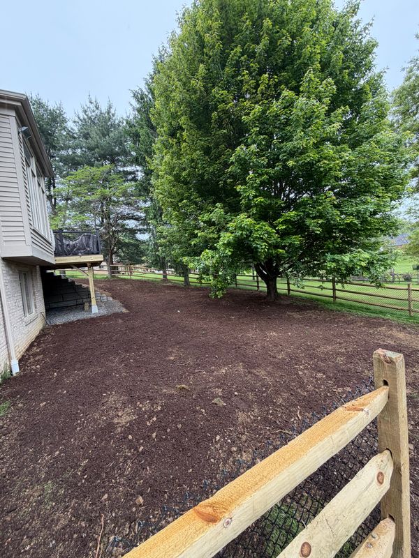 Landscape Design & Installation