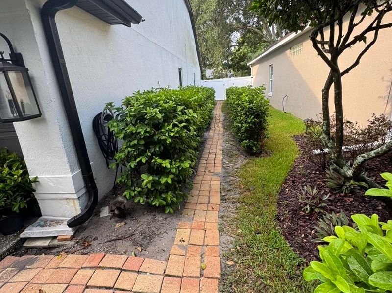 Landscaping