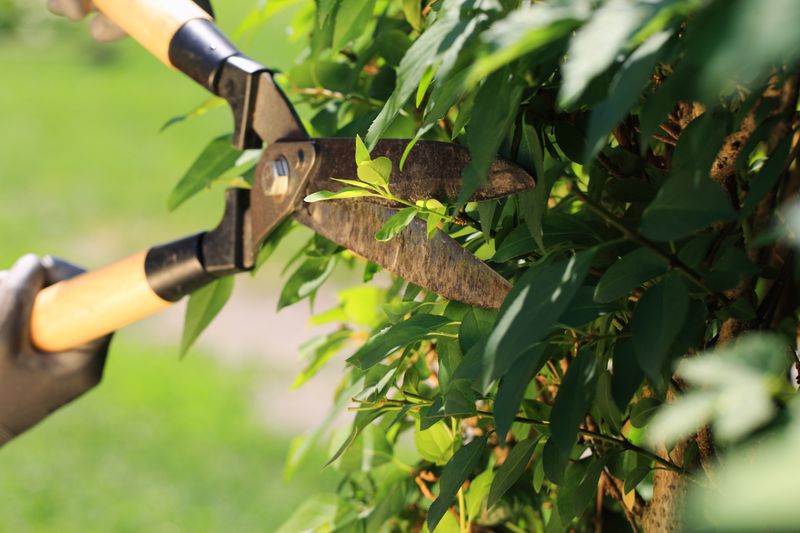 Property Maintenance