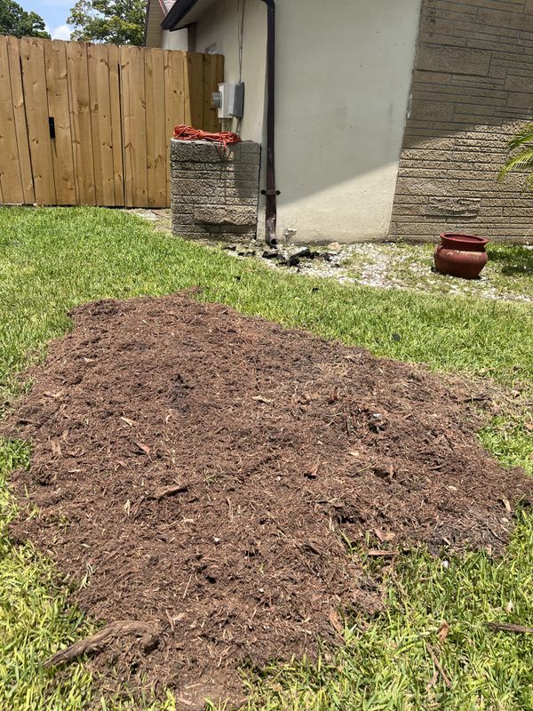 Stump Grinding