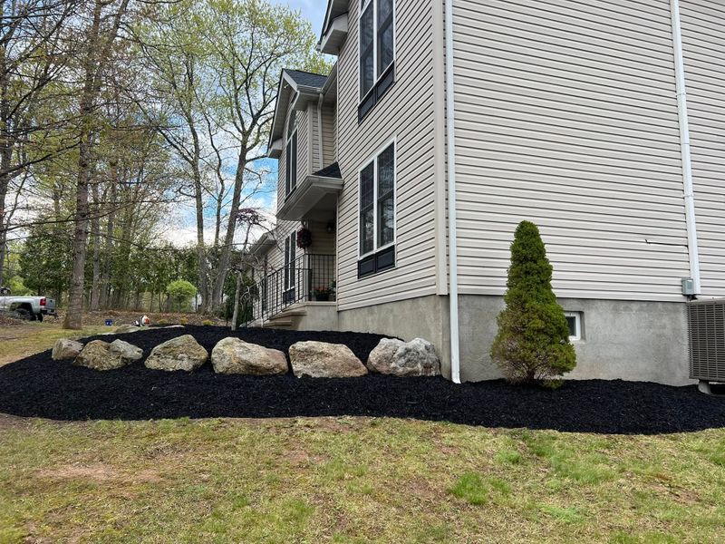 Plant & Shrub Installations