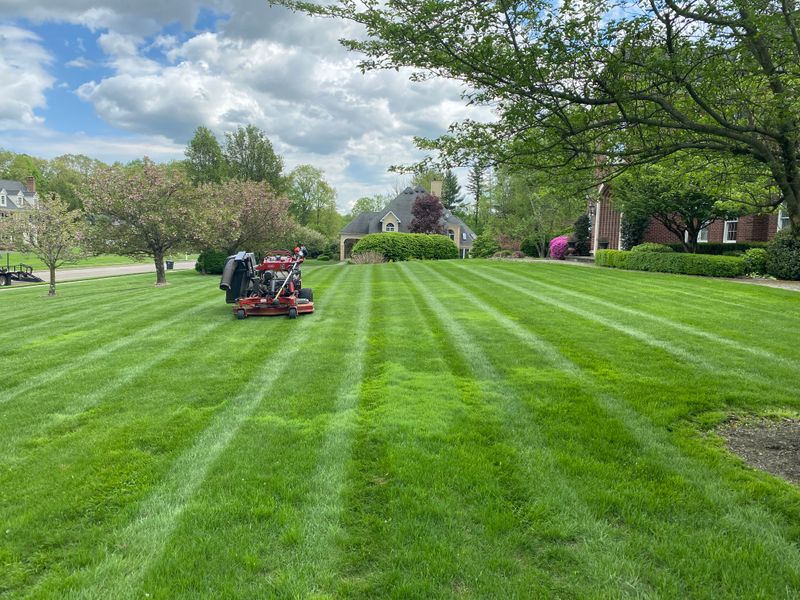 Lawn Maintenance