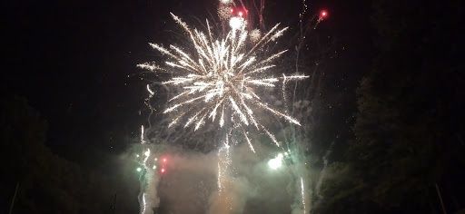 Gender Reveal Firework Displays / Show