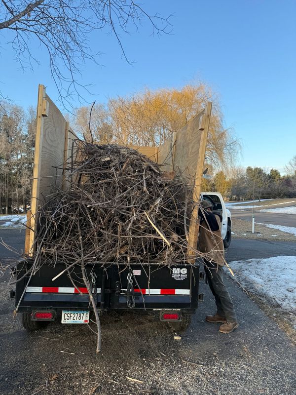 Tree Removal