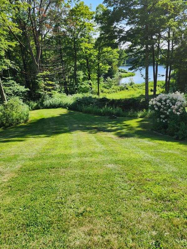 Lawn Mowing