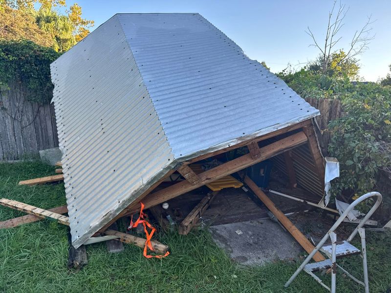 Shed Removal