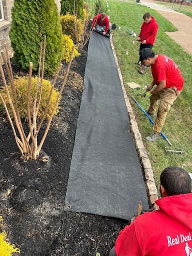 Landscape Installation