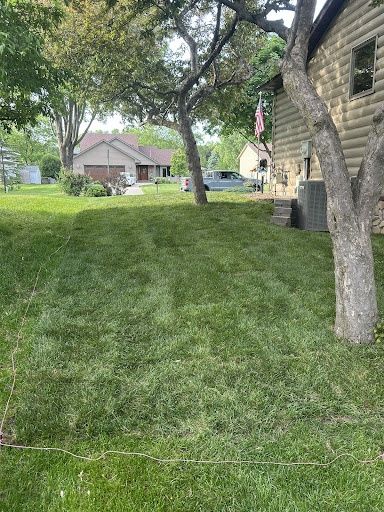 Sod Replacement & Laying