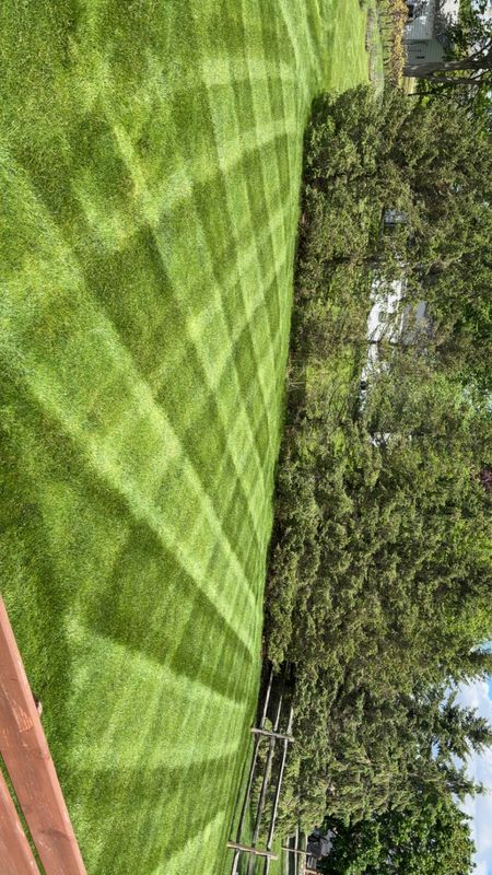 Lawn Maintenance
