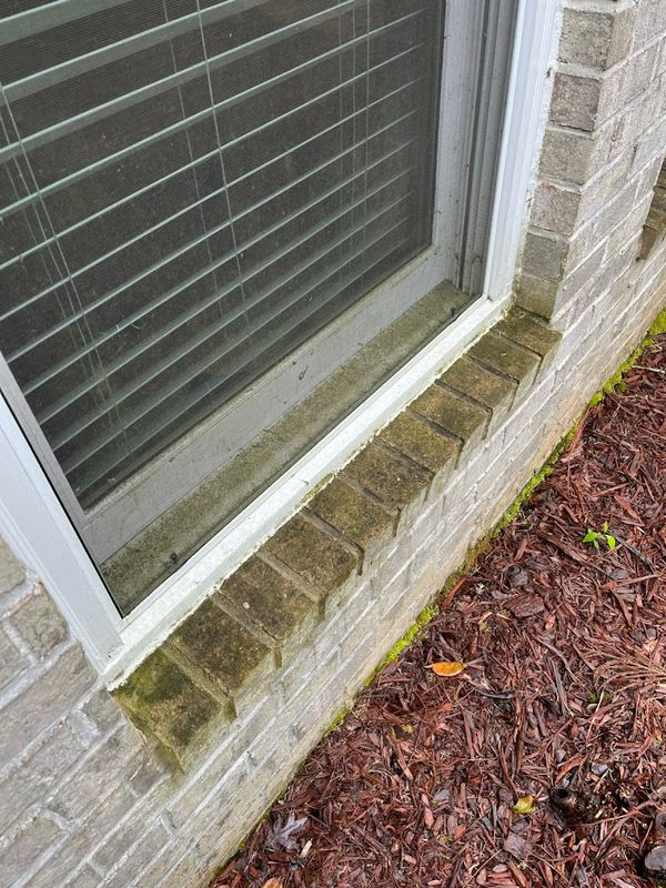 Pressure Washing gallery
