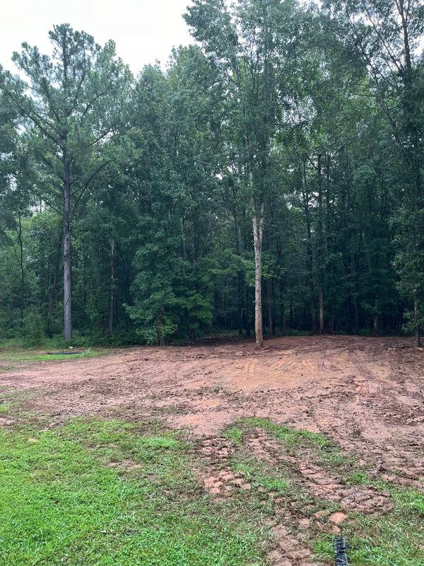 Brush cutting/clearing