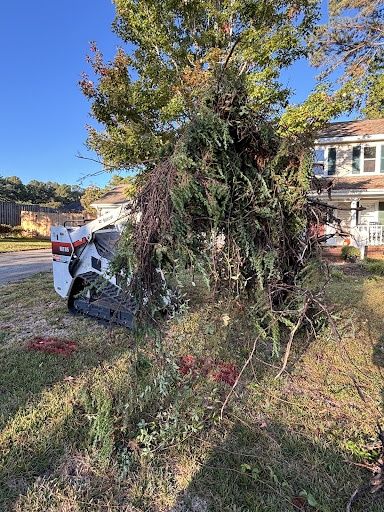 Landscape Removal