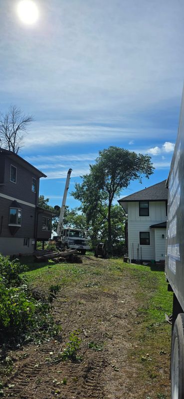 Tree Removal